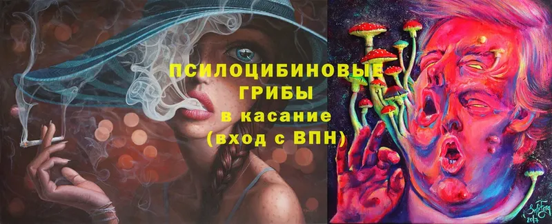 где купить   Энем  Псилоцибиновые грибы Psilocybe 